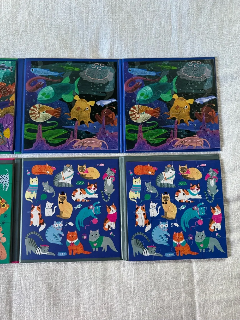 Mudpuppy Magnetic Puzzles (2)